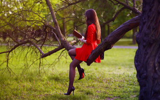 Woman red dress reading in - a storybook illustration free wallpaper for desktop