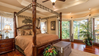 Canopy bedroom large window trees - a large window free wallpaper