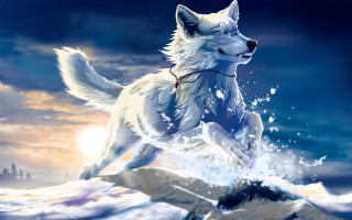 White wolf running water red - a red collar free wallpaper