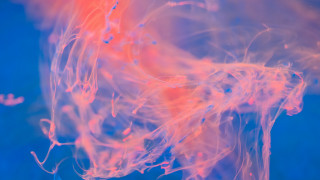 Blue red liquid cloudy sky 2 - octane renderer free wallpaper