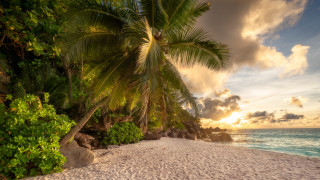 Beach palm sunset clouds rocks - the sand free wallpaper