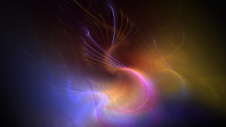 Colorful abstract bird prey black 2 - mystical free wallpaper