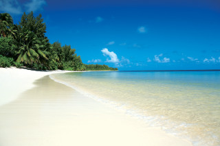 Beach palm trees ocean sand 2 - impressionist free wallpaper