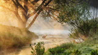 River boat trees sunbeams impressionist - river free wallpaper