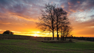 Sunset tree bench field ruins - a sunset free wallpaper