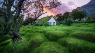 Grass house tree sunset pink - a sunset in the background free wallpaper