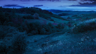 Dark blue sky mountains moon - a few tree and bushes free wallpaper