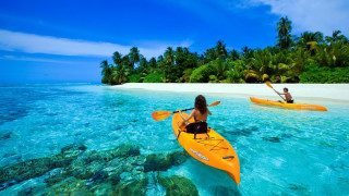 Couple kayaks beach palm trees - the water near a beach free wallpaper