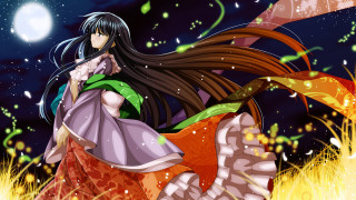 Woman dress field moon fireflies 2 - full free wallpaper