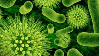 Green cell green stuff neoplasticism - biopunk free wallpaper