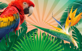 Colorful parrot 3d bamboo jungle - a plant free wallpaper