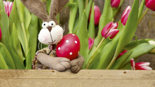 Stuffed rabbit red heart wooden 2 - a red heart free wallpaper