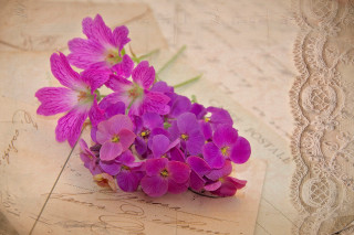Purple flowers paper lace mail - the edge free wallpaper