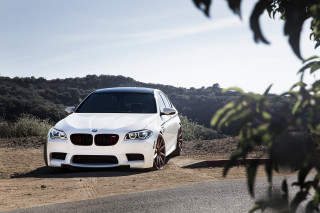 White car hill trees 3D - a white car free wallpaper