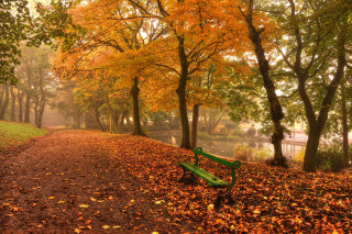 Bench leaf path river park - arie smit free wallpaper
