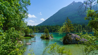River trees mountains blue sky - tree and mountains free wallpaper