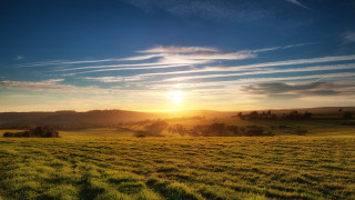 Sunset field clouds trees ocean 2 - a matte painting free wallpaper