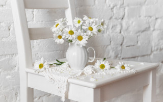 White vase daisies floral still - a white brick wall free wallpaper
