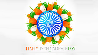 Colorful indian flag wheel flowers - happy free wallpaper