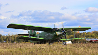 Green airplane field forest sky - a forest of trees free wallpaper