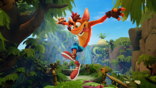 Cartoon jungle monkey bird outdoors - his back free wallpaper for desktop