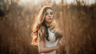 Woman white dress stillness sunbeam - a sunbeam in the background free wallpaper