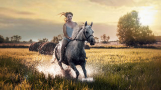 Woman horse field haybales sunset - hay bale free wallpaper