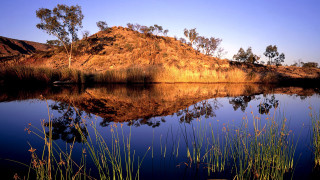 Lake hill grass boat autumn 2 - albert namatjira free wallpaper