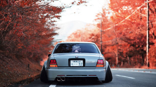 Car autumn leaves forest sunset - the back of the car free wallpaper