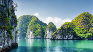 Mountains over water forest hillside - green foliage free wallpaper
