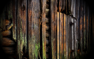 Wooden wall moss door photorealism - a wooden door free wallpaper
