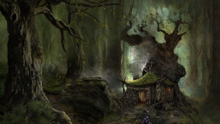 Mossy house forest nature river - mossy free wallpaper