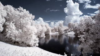 Lake trees snow clouds bridge - covered ground free wallpaper