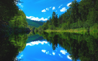 River mountain trees blue sky 3 - free forest wallpaper