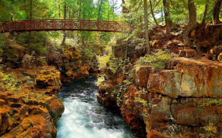 Bridge river forest nature tiltshift - water and trees free wallpaper