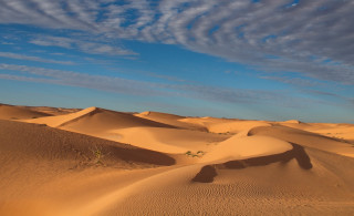 Desert clouds plant mountains beach - a desert free wallpaper