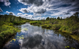 River lake forest nature sky - swampy free wallpaper