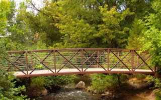 Bridge stream forest rocks autumn - underneath free wallpaper