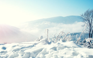 Skiing winter landscape mountains trees 2 - a snowy hill free wallpaper