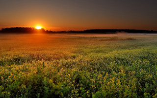 Sunset fog flower field mountain - the air above free wallpaper
