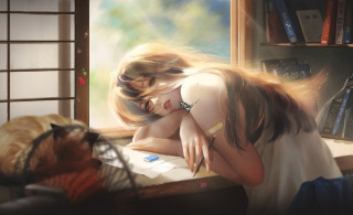 Woman window sill cat books - nearby free wallpaper
