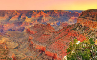Canyon cliff tree autumn fire - a pink sky free wallpaper