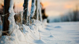 Snowy fence sunset blurry ocean - a sunset in the background free wallpaper