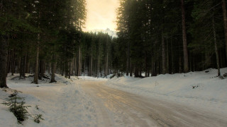 Snowy forest road magic city - coppo di marcovaldo free wallpaper