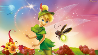 Fairy bug flower butterfly pink - a pink sky free wallpaper
