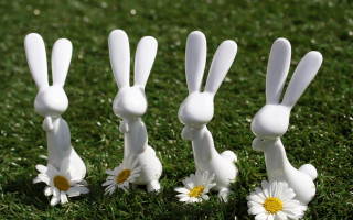 White rabbits green field daisies - plastic free wallpaper