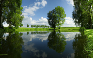 Lake trees grass blue sky 5 - under free wallpaper for desktop