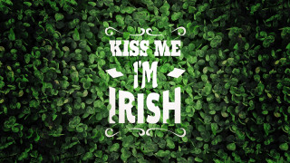 Green wall kiss me im - international typographic style free wallpaper