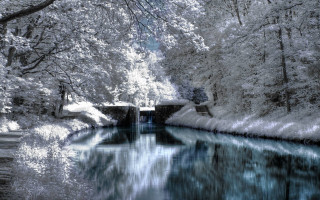 River bridge trees sky winter - a blue sky in the foreground free wallpaper