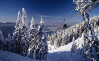 Ski lift snowy mountain trees - a snowy mountain free wallpaper